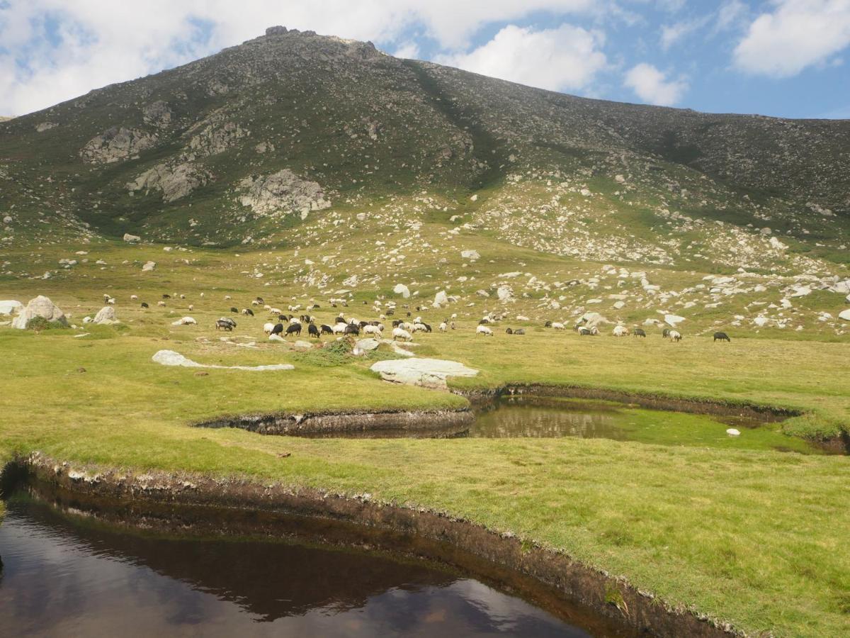 Belvedere De Sartene Εξωτερικό φωτογραφία